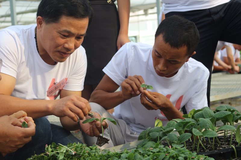 第十期學(xué)員在做嫁接練習(xí)