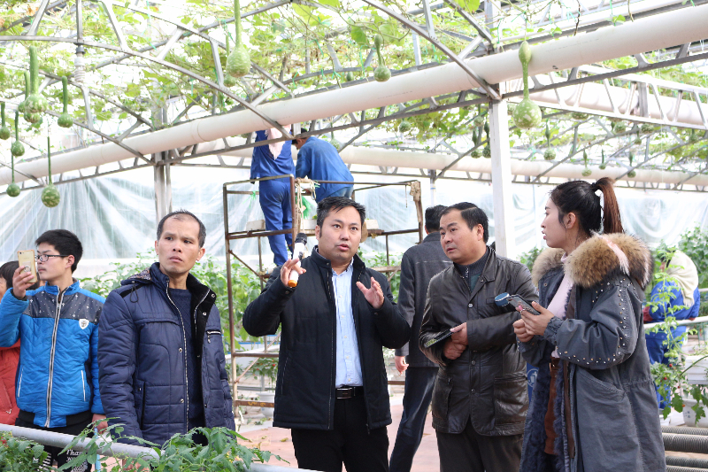 第十二期學員在李軍老師的帶領(lǐng)下，參觀無土栽培溫室
