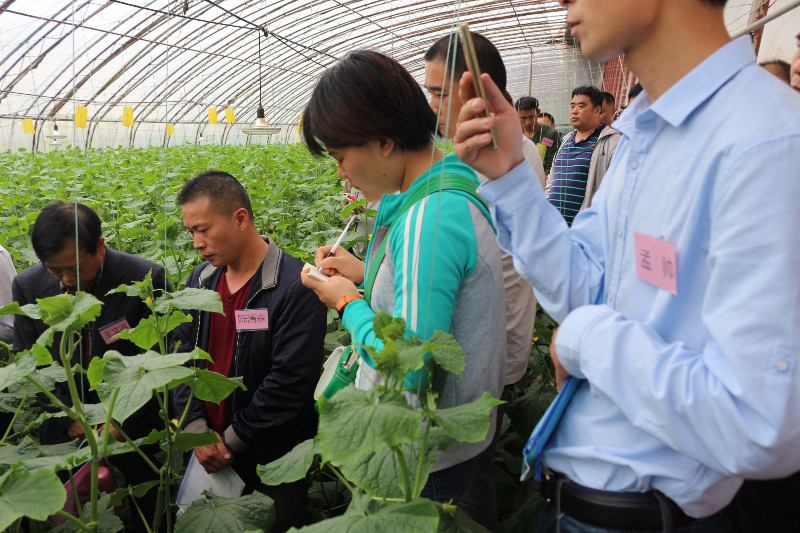 十五期學員在溫室內聽老師講課