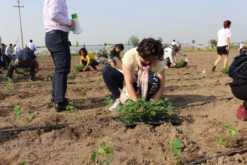 十五期學員動手移栽