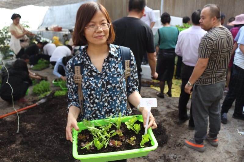 十五期學員在做盆栽蔬菜