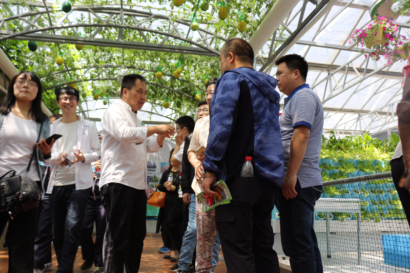 李軍老師在菜博會10號館，給學員講解溫室蔬菜種植技術