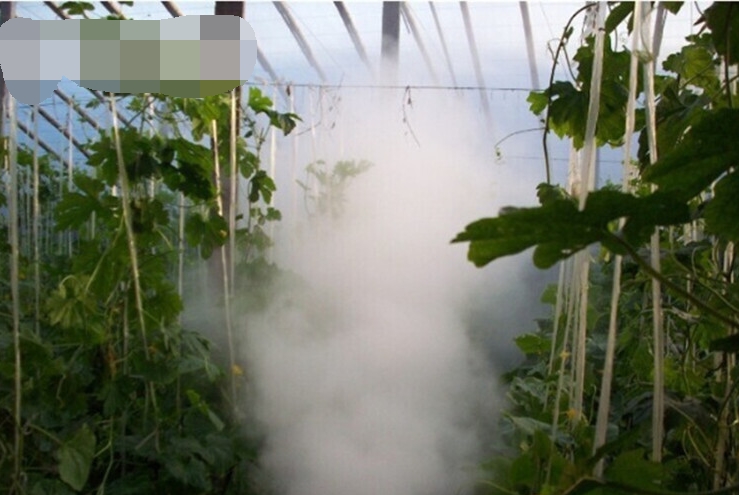 殺菌消毒_看圖王.jpg 殺菌消毒_看圖王.jpg