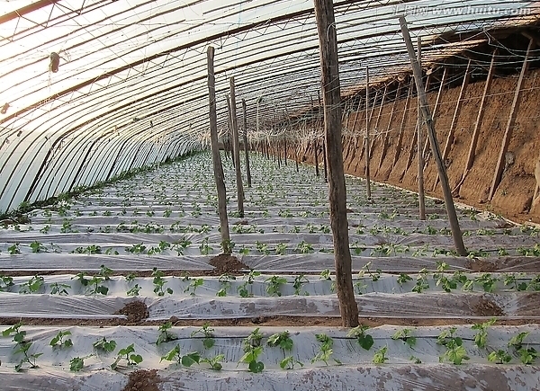 定值.jpg 定值.jpg