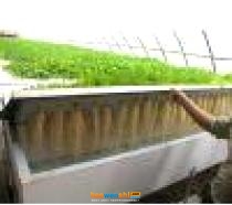 矩形氣霧培.jpg 矩形氣霧培.jpg