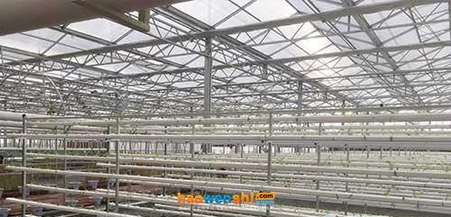 營養(yǎng)液膜技術(shù).jpg 營養(yǎng)液膜技術(shù).jpg