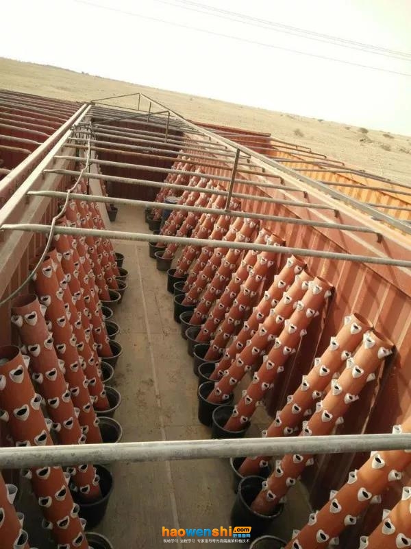 建造.jpg 建造.jpg