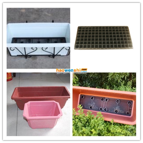 盆栽蔬菜盆.jpg 盆栽蔬菜盆.jpg