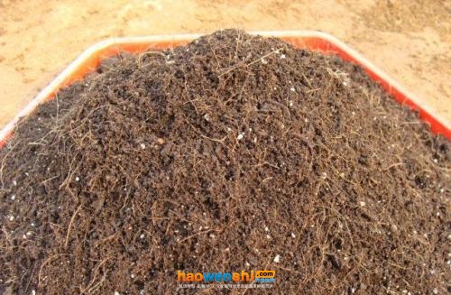 椰糠種植基質.jpg 椰糠種植基質.jpg