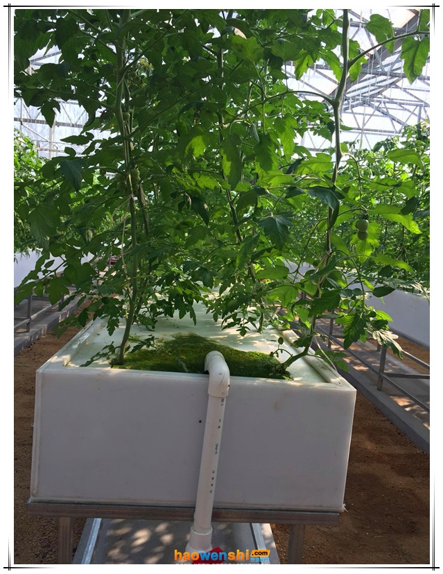 深夜流技術(shù).jpg 深夜流技術(shù).jpg