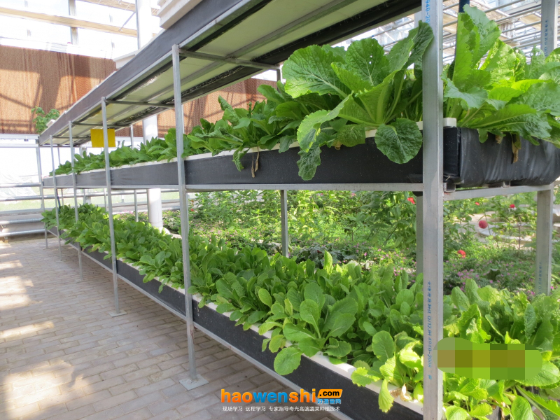 深夜流技術(shù).jpg 深夜流技術(shù).jpg