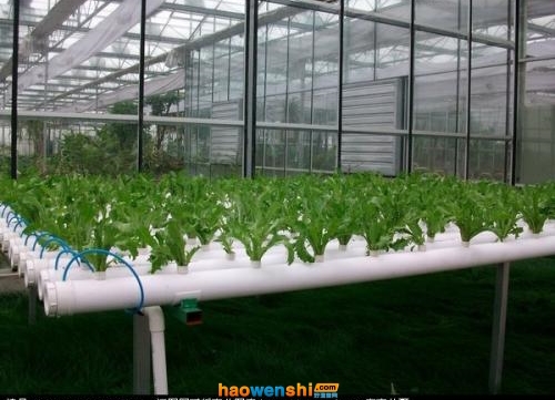 管道式水培.jpg 管道式水培.jpg