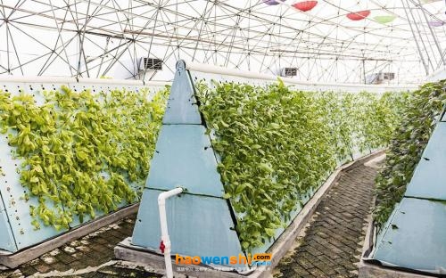 復(fù)合栽培.jpg 復(fù)合栽培.jpg