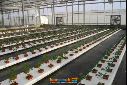 地上式.jpg 地上式.jpg