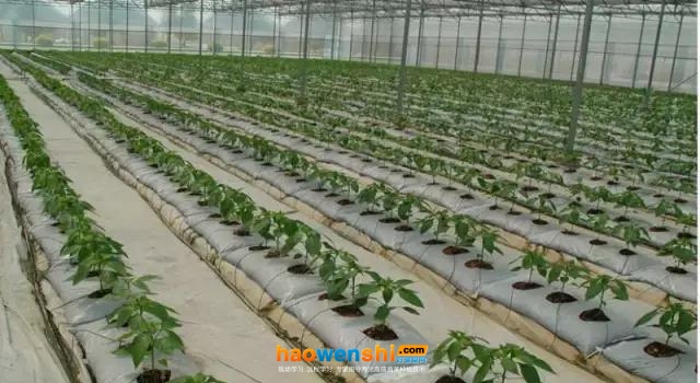 地上式.jpg 地上式.jpg