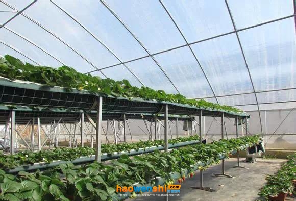 地上式.jpg 地上式.jpg