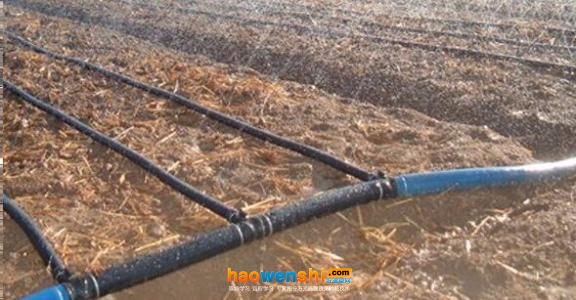 滴灌帶.jpg 滴灌帶.jpg