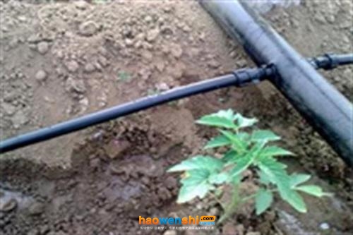 滴灌管.jpg 滴灌管.jpg
