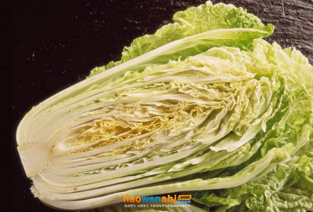 白菜缺鈣.jpg 白菜缺鈣.jpg