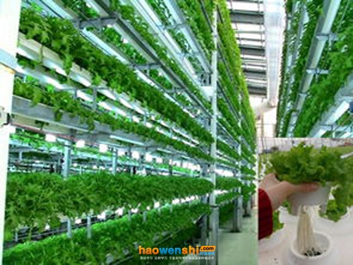 水培種植系統(tǒng).jpg 水培種植系統(tǒng).jpg