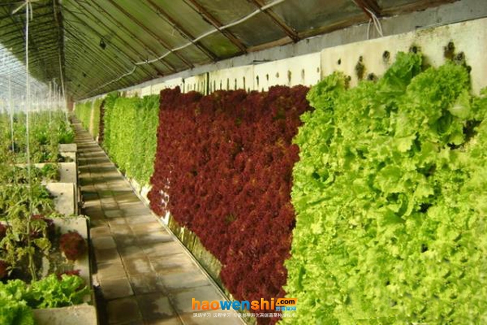 氣霧.jpg 氣霧.jpg