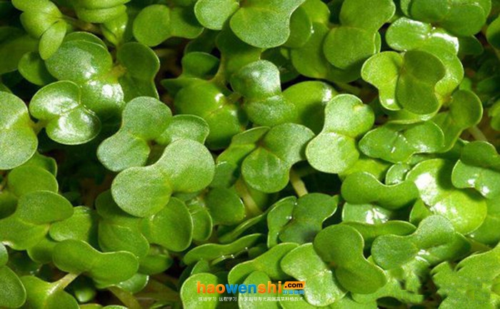 豆瓣.jpg 豆瓣.jpg