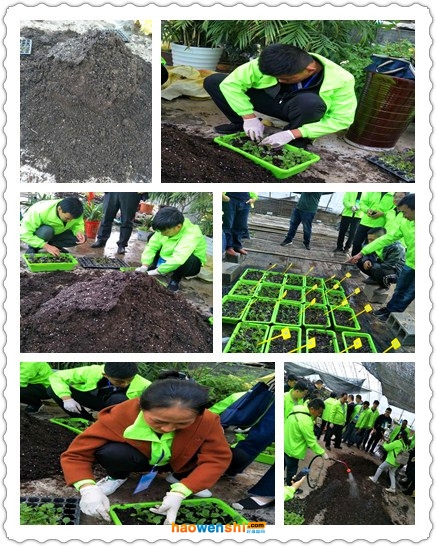 盆栽實踐.jpg 盆栽實踐.jpg