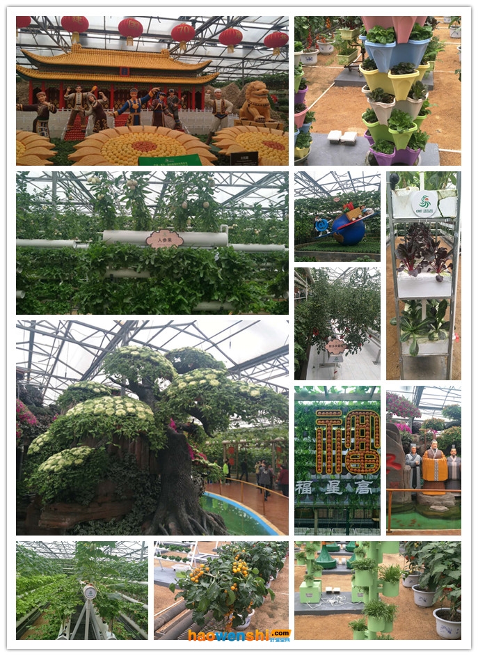 菜博會景觀.jpg 菜博會景觀.jpg