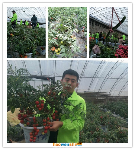 學(xué)員實地參觀盆栽基地.jpg 學(xué)員實地參觀盆栽基地.jpg