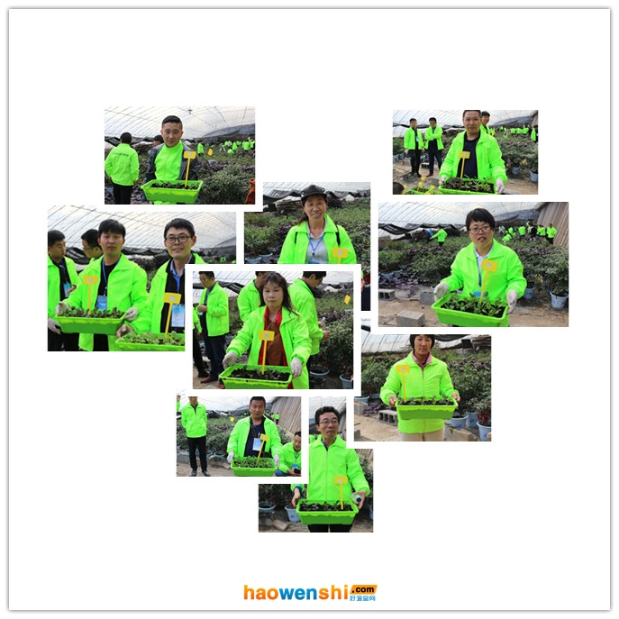 盆栽基地.jpg 盆栽基地.jpg