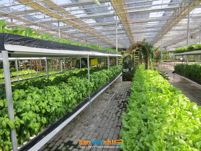 深夜流.JPG 深夜流.JPG