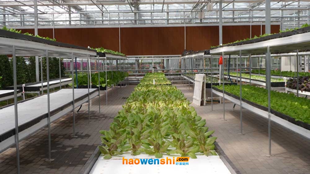 深夜流.JPG 深夜流.JPG