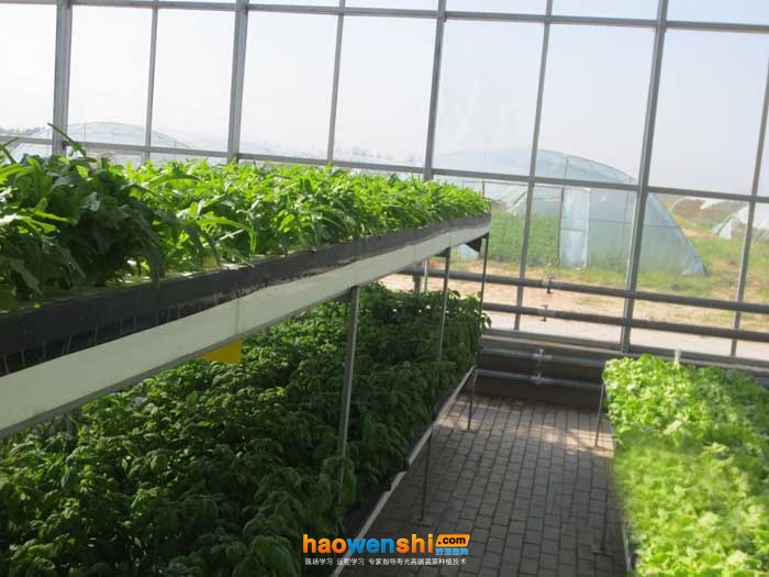 深夜流.JPG 深夜流.JPG