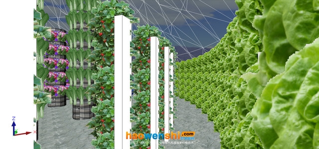 立柱栽培.jpg 立柱栽培.jpg