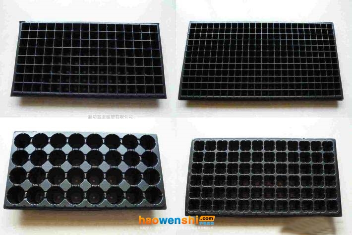育苗穴盤(pán).jpg 育苗穴盤(pán).jpg