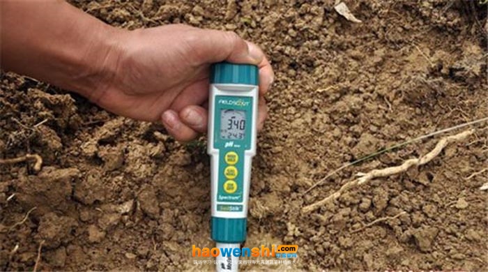 設(shè)施甜瓜基質(zhì)營養(yǎng)土隔地栽培技術(shù)！