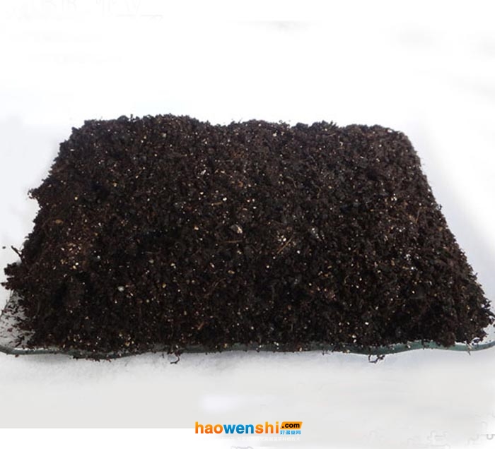 基質(zhì)營養(yǎng)土.jpg 基質(zhì)營養(yǎng)土.jpg