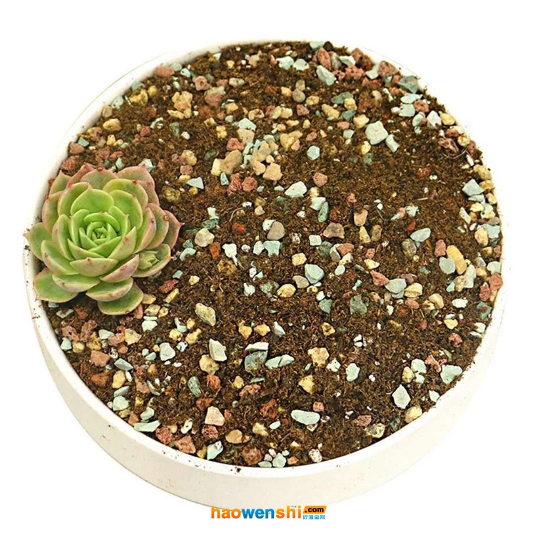 有機(jī)基質(zhì)栽培.jpg 有機(jī)基質(zhì)栽培.jpg