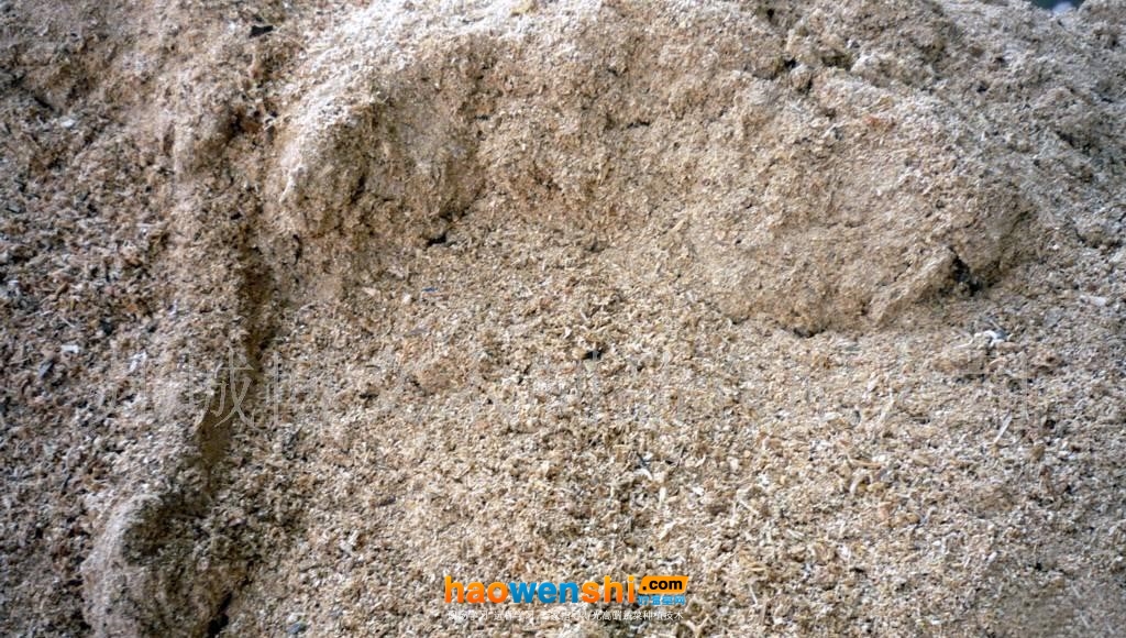 鋸末.jpg 鋸末.jpg