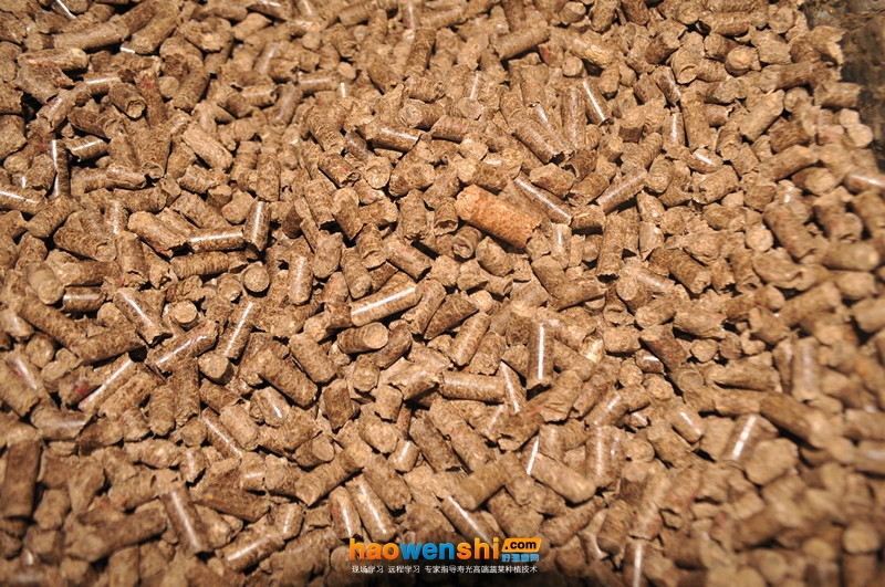 鋸末.jpg 鋸末.jpg