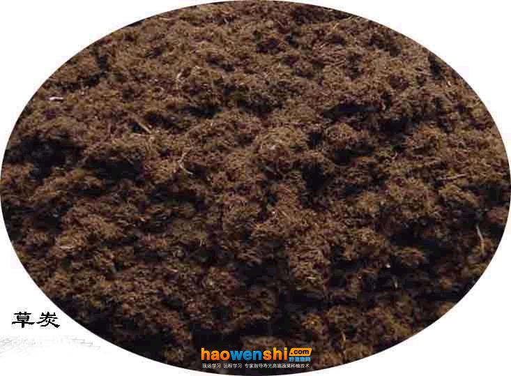 草炭.jpg 草炭.jpg