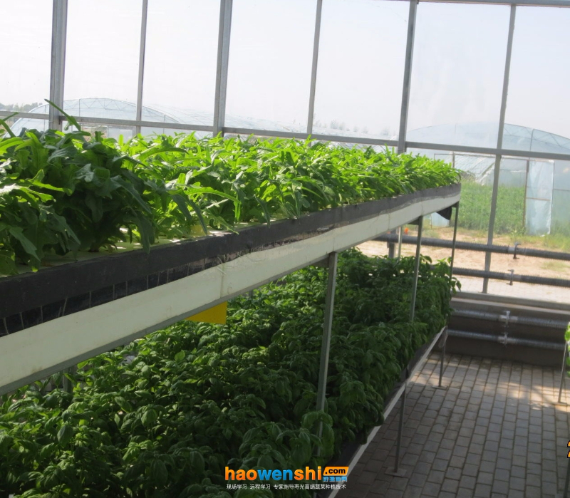 深夜流.jpg 深夜流.jpg