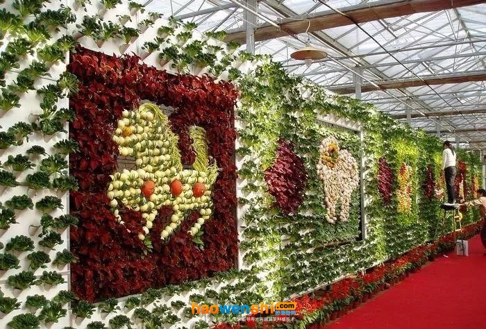 立體、墻體式無土栽培模式.jpg