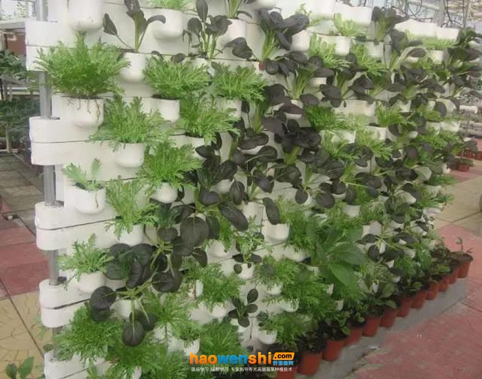 立體、墻體式無土栽培模式2.jpg