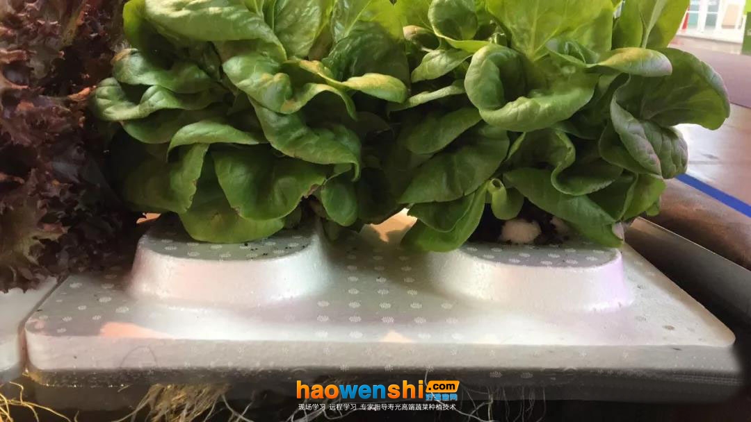 漂浮板.jpg 漂浮板.jpg