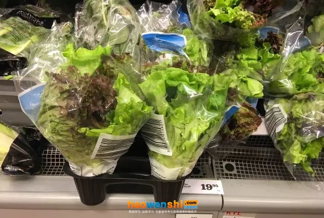 價格.jpg 價格.jpg