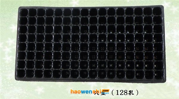 穴盤.jpg 穴盤.jpg