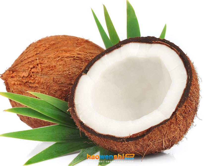 椰子.jpg 椰子.jpg