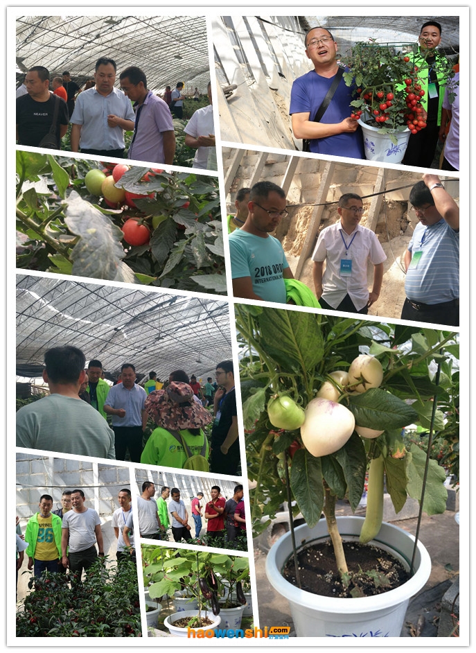 學(xué)員參觀盆栽基地.jpg 學(xué)員參觀盆栽基地.jpg