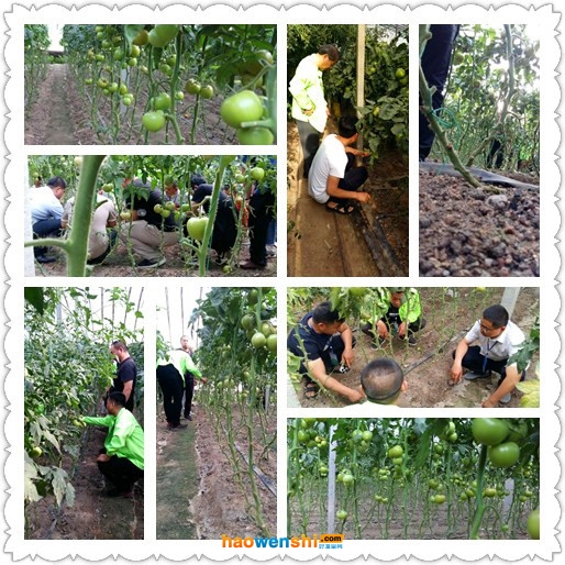 沙培基地.jpg 沙培基地.jpg